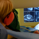 Illustration for article titled Bonus: Stills Of The MRI Live Birth